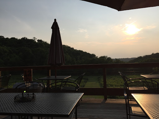 Winery «Falconer Vineyards», reviews and photos, 3572 Old Tyler Rd, Red Wing, MN 55066, USA