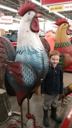 Home Improvement Store «Tractor Supply Co.», reviews and photos, 1650 Denmark Rd, Union, MO 63084, USA