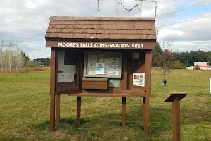 Moore's Falls Conservation Area image