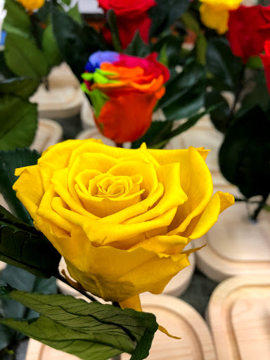 Florist «Ultima Florals», reviews and photos, 81-02 37th Ave, Jackson Heights, NY 11372, USA