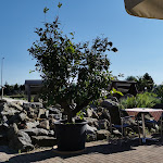 Photo n°1 de l'avis de Ralf.o fait le 17/06/2021 à 15:45 sur le  Hotel Bistro & Restaurant Fichtelgebirgshof Green Station - Himmelkron à Himmelkron