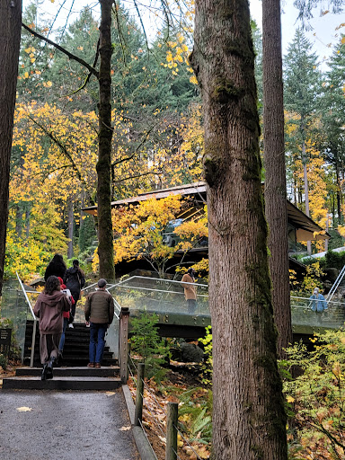 Garden «Portland Japanese Garden», reviews and photos, 611 SW Kingston Ave, Portland, OR 97205, USA