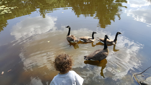 State Park «Great Brook Farm State Park», reviews and photos, 165 N Rd, Carlisle, MA 01741, USA
