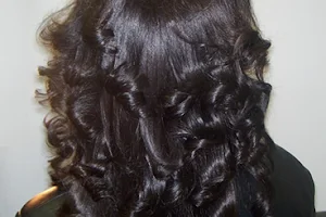 Celebrity Hair Brokers - Braided Lace Front Wigs, Malaysian Hair Custom Wigs, African Hair Braiding in Oak Park MI image