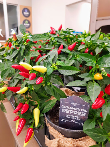 Supermarket «ALDI», reviews and photos, 2810 Mountaineer Blvd, Charleston, WV 25309, USA