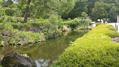 日本庭園池