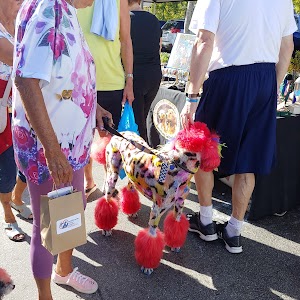 Third Street South Farmers Market - photo 44