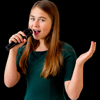 Voice Instruction Charlotte - Photo 5 - Car repair in Charlotte, NC, Charlotte