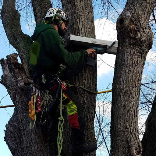 Oliver’s Tree Care
