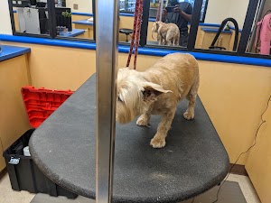 Petsense - photo 38