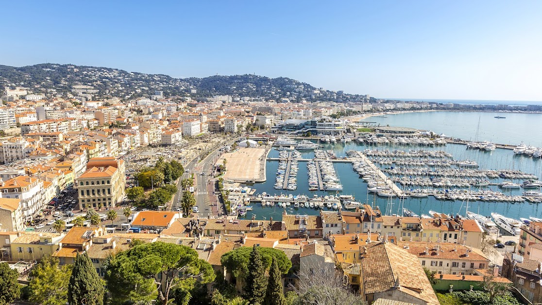 John Taylor Cannes : Agence Immobilière de Luxe à Cannes