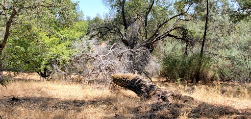 Historical Landmark «Preston Castle Foundation», reviews and photos, 900 Palm Dr, Ione, CA 95640, USA