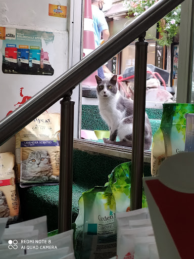 Pet Clup Pet Shop | Şişli İstanbul - Evcil hayvan mağazası