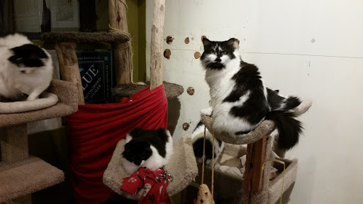 Pet Store «Next to Nature», reviews and photos, 4543 California Ave SW, Seattle, WA 98116, USA