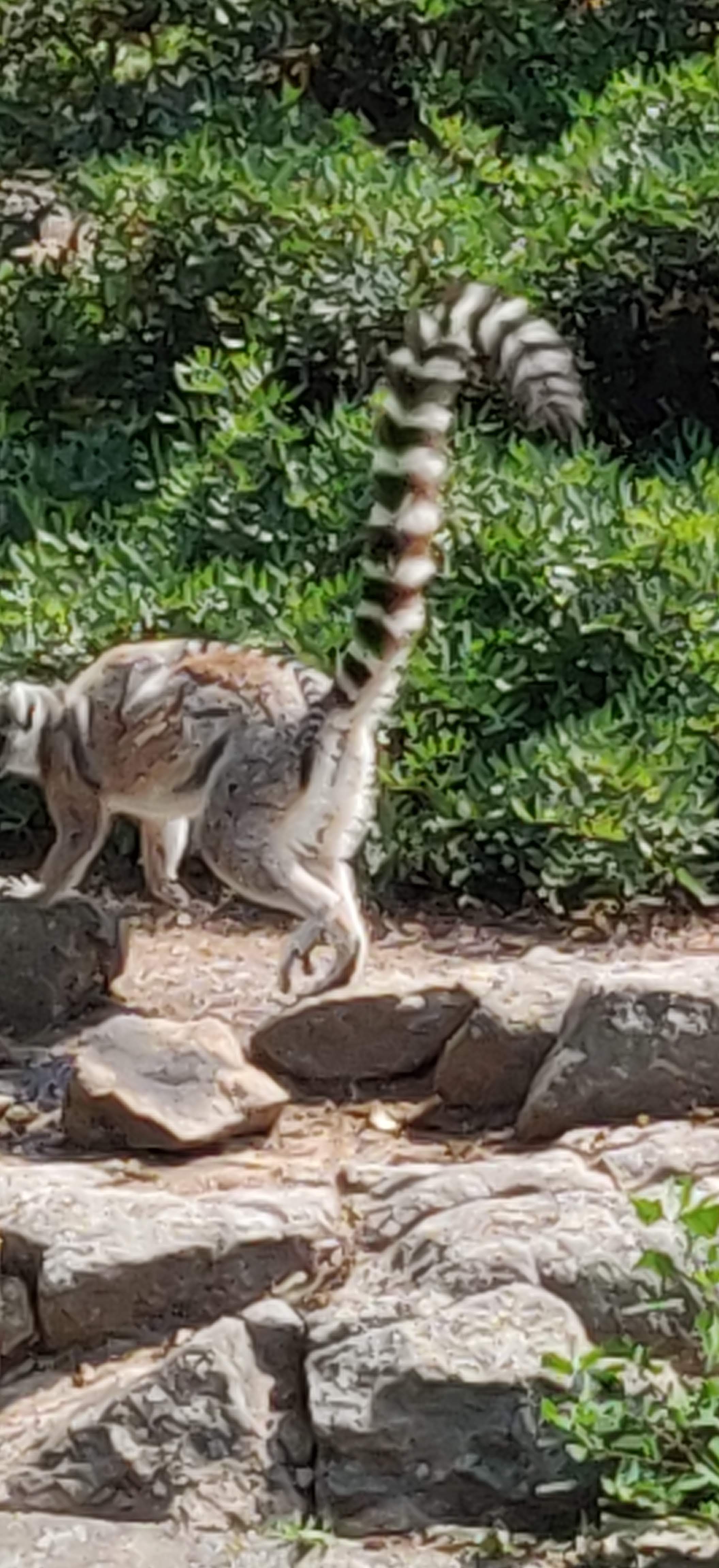 Photo n° 10 de l'avis de philippe.a fait le 18/06/2023 à 15:13