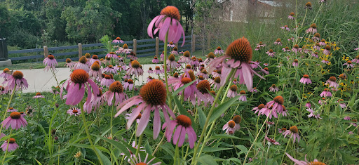 Park «Blandair Regional Park», reviews and photos, 5750 Oakland Mills Rd, Columbia, MD 21045, USA