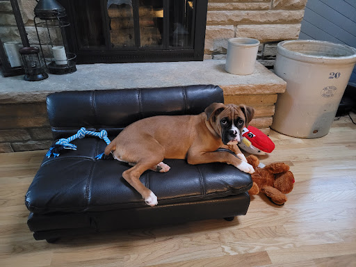 Pet Store «Perfect Pets», reviews and photos, 6840 S University Blvd #410, Centennial, CO 80122, USA