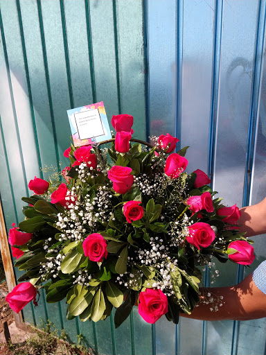 Floreria flor de lotto – Ixtapaluca