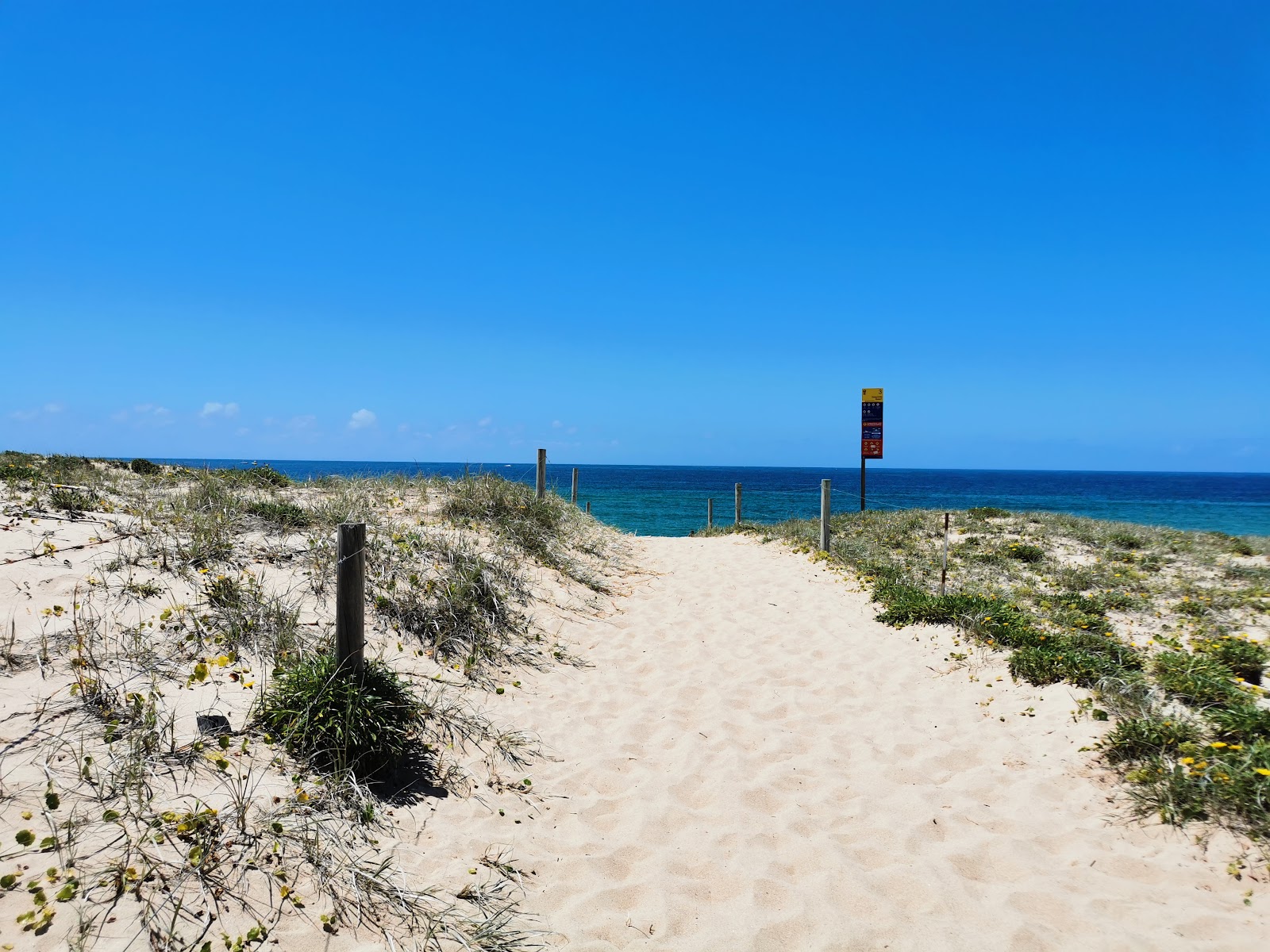 Cronulla Beach photo #9