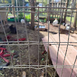 Photo n°6 de l'avis de Francesco.a fait le 28/02/2022 à 06:42 sur le  New Farm Agriculture à Rome