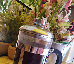 Cachito Mio Gdl photo