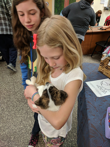 Animal Shelter «BrightSide Animal Center (formerly Humane Society of Redmond)», reviews and photos