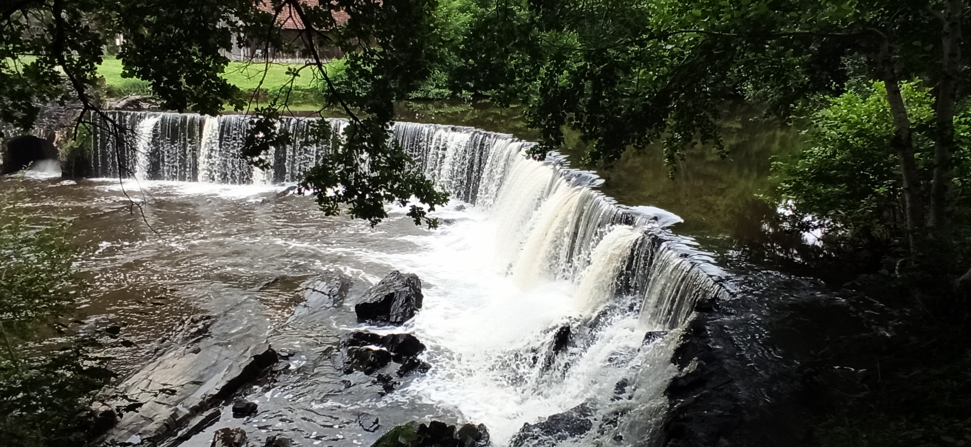 Photo n° 2 de l'avis de cecile.. fait le 12/08/2021 à 21:20