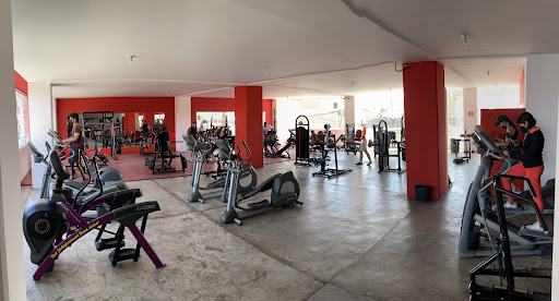 Life Gym & Fitness