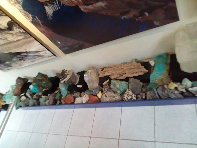Opiniones de Museo Geológico Profesor Humberto Fuenzalida V. en Antofagasta - Museo
