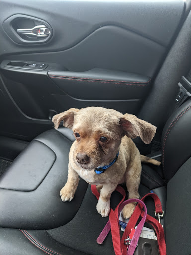 Pet Supply Store «PetSmart», reviews and photos, 1630 13th Ave E, West Fargo, ND 58078, USA