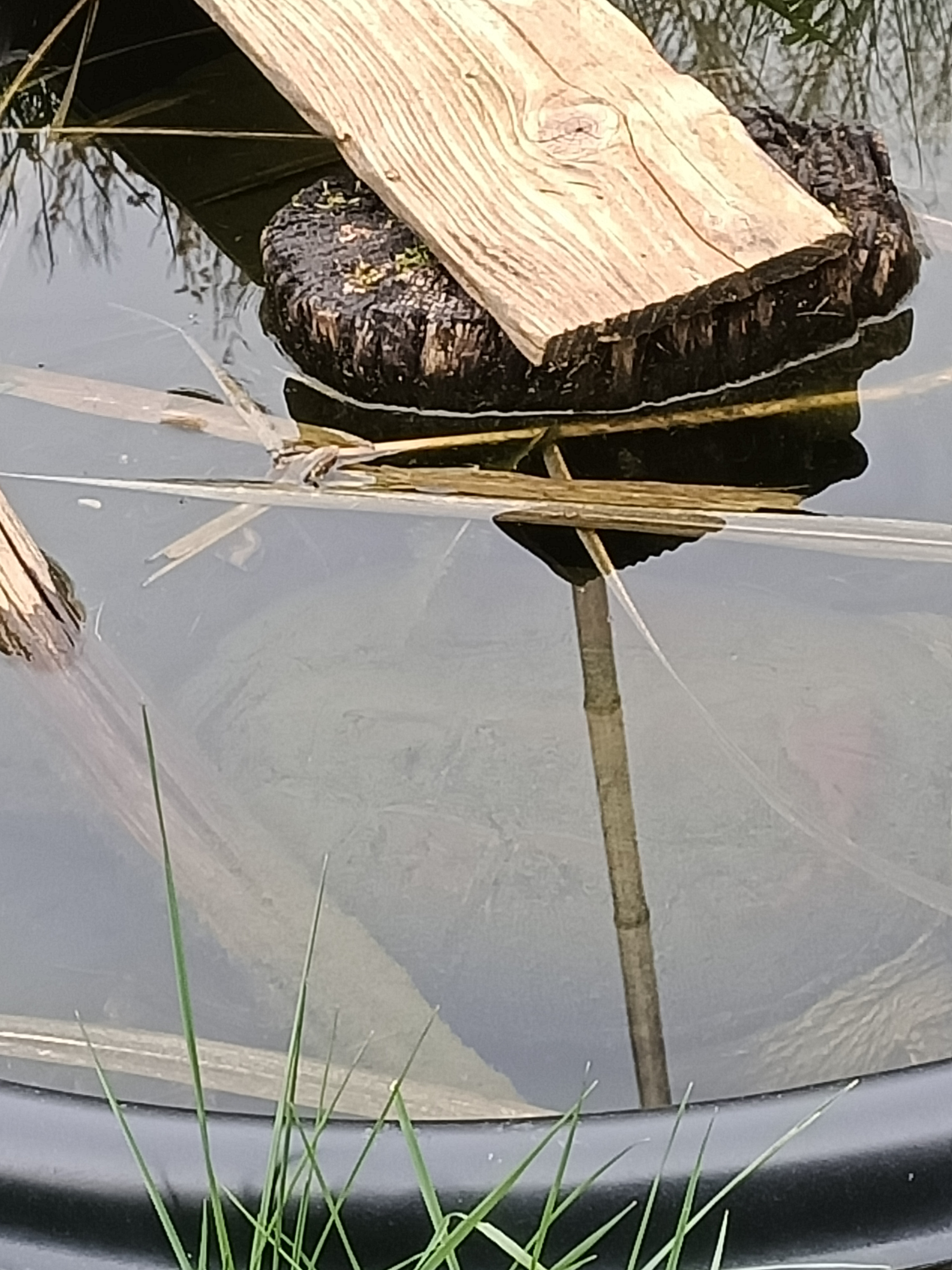 Photo n° 3 de l'avis de Dufau.a fait le 21/02/2024 à 14:51