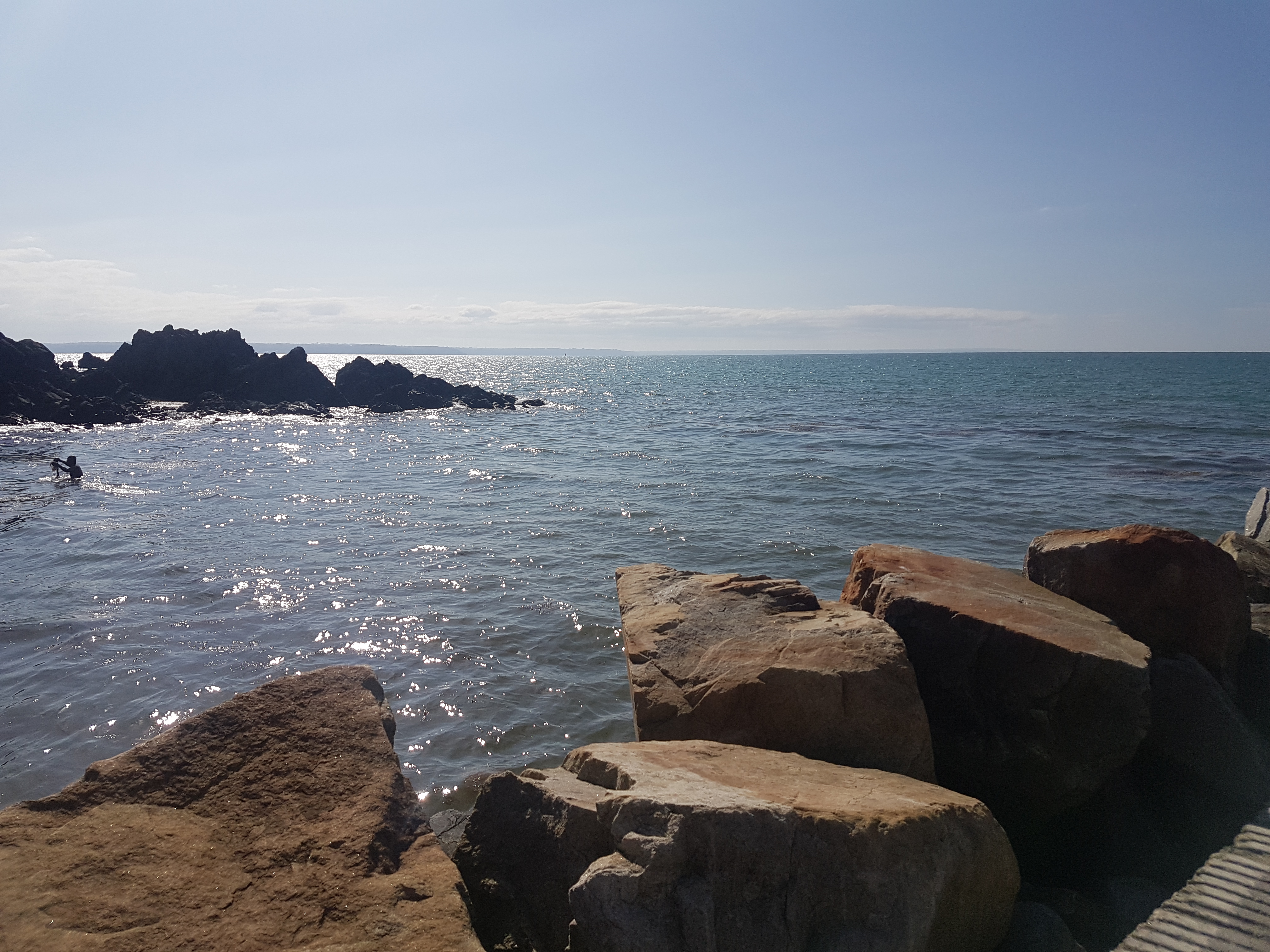 Photo n° 3 de l'avis de Ambre. fait le 07/07/2019 à 10:49
