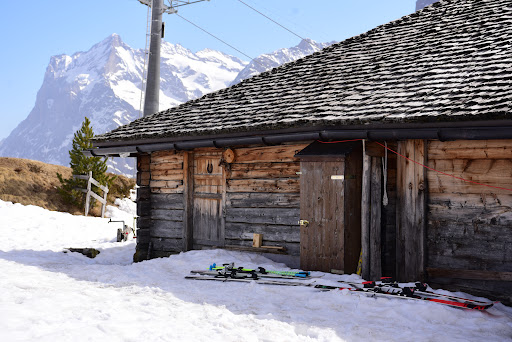 site_photo2