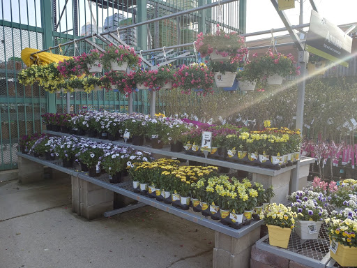 Home Improvement Store «The Home Depot», reviews and photos, 825 E Dundee Rd, Palatine, IL 60074, USA