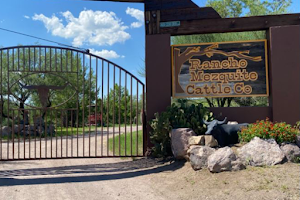 Mesquite Ranch Campground image