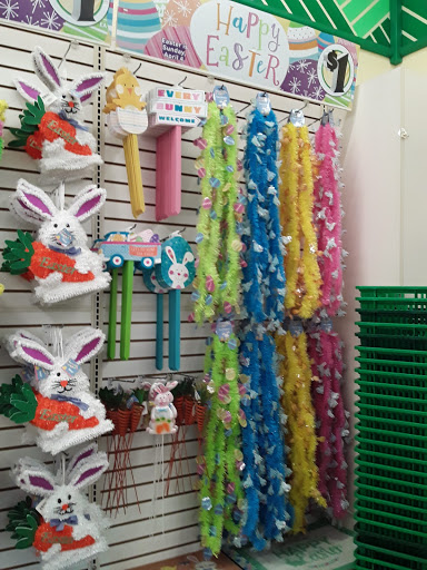 Dollar Store «Dollar Tree», reviews and photos, 2241 Citrus Blvd #107, Leesburg, FL 34748, USA