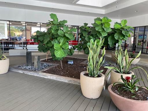 Shopping Mall «Tower Shops», reviews and photos, 1904 S University Dr, Davie, FL 33324, USA