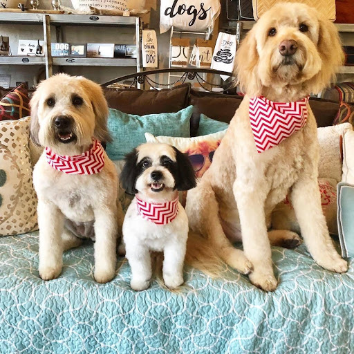 Pet Groomer «The Fetch House», reviews and photos, 130 W Washington St, Madison, GA 30650, USA