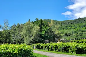 Coteau Saint-Paul - Winery / Orchard / Cidery image