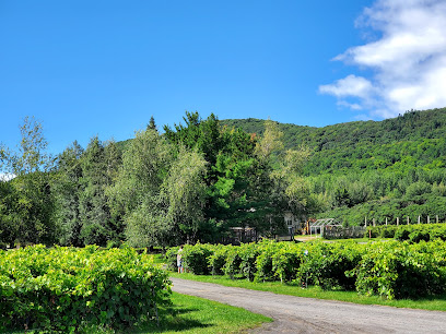 Coteau Saint-Paul - Winery / Orchard / Cidery
