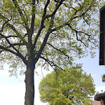 Photo n°7 de l'avis de Uwe.a fait le 22/04/2018 à 14:57 sur le  Gaststätte Friedrichshöhe - DAS Rock'n Blues Rasthouse in Steinhagen à Steinhagen