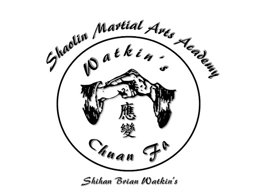 Shaolin Martial Arts Academy