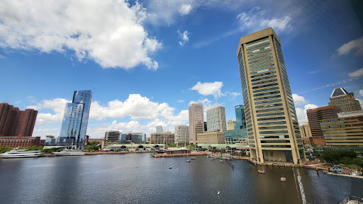 Aquarium «National Aquarium», reviews and photos, 501 E Pratt St, Baltimore, MD 21202, USA