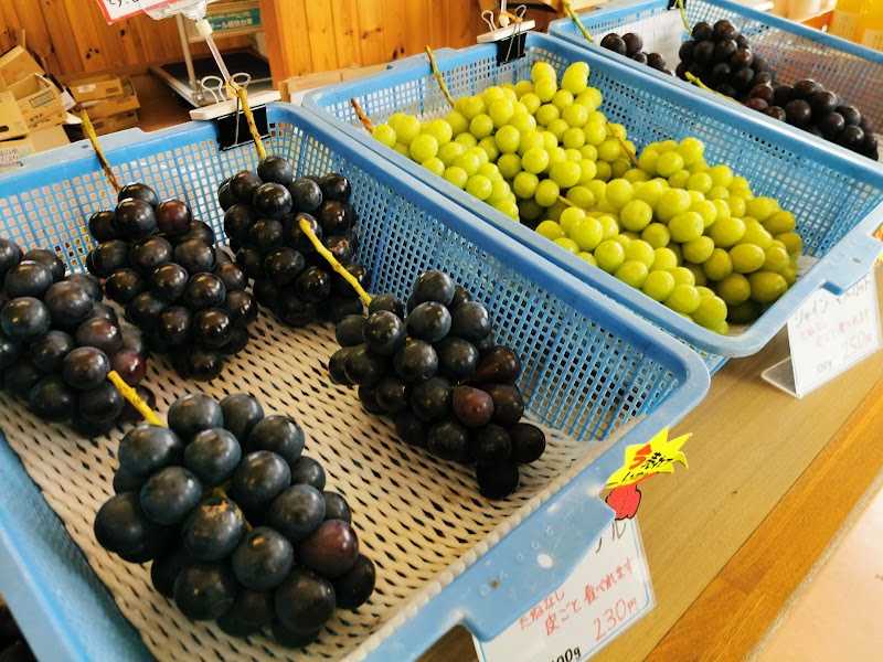 返町遊覧園