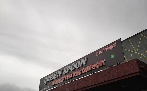 Green Spoon, Nayaks Veg Restaurant image