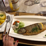 Photo n°15 de l'avis de Axel.e fait le 01/12/2022 à 18:24 sur le  Leubnitzer Höhe à Dresden