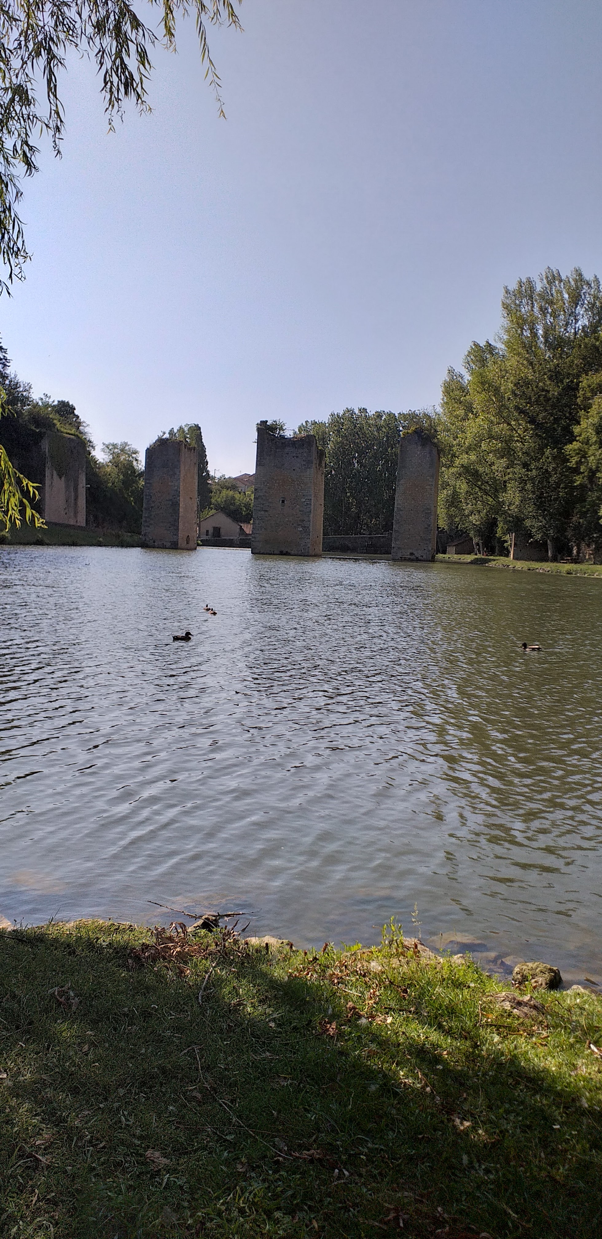 Photo n° 1 de l'avis de Bérénice. fait le 04/07/2019 à 18:24
