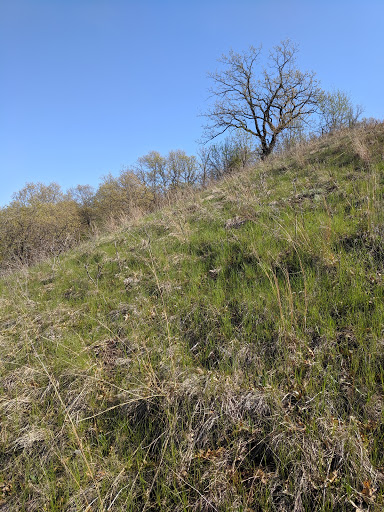 Nature Preserve «St. Croix Savanna Scientific and Natural Area (SNA)», reviews and photos, Osprey Blvd, Bayport, MN 55003, USA