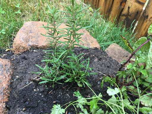 Caterer «J-Culinary Professional Catering Services», reviews and photos, 85 Silver Leaf Way, Marlborough, MA 01752, USA