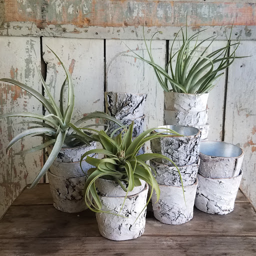 Florist «FlowersFlowers», reviews and photos, 1110 Davis St, Evanston, IL 60201, USA